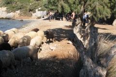 Leros_2_026