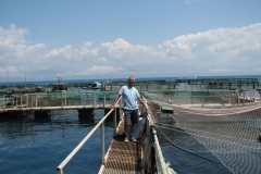 Fish_FArm-corfu_15