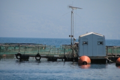 Fish_Farm-corfu_03