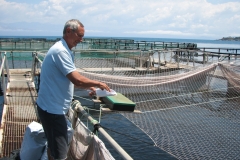 Fish_Farm-corfu_13