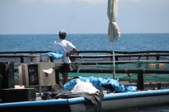 Fish_Farm-corfu_16