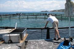 Fish_Farm-corfu_20