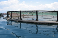 Fish_Farm-corfu_21